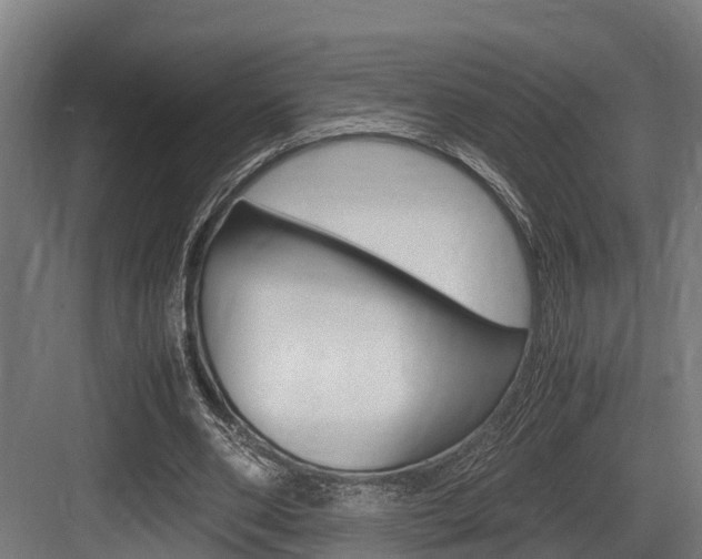 X0000083620486200702120753