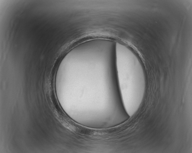 X0000083620487200702120753