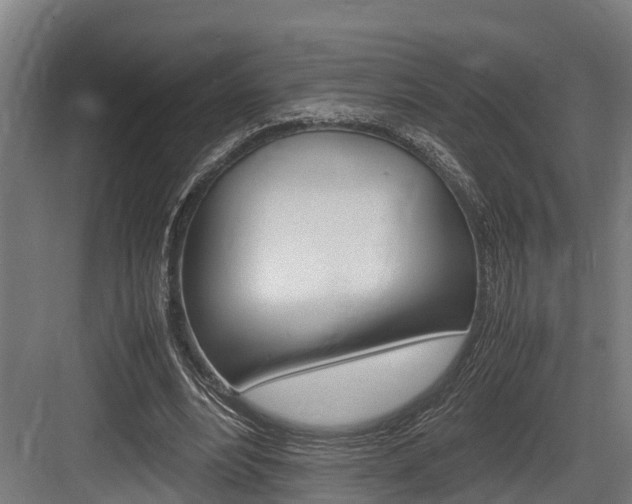 X0000083620488200702120753
