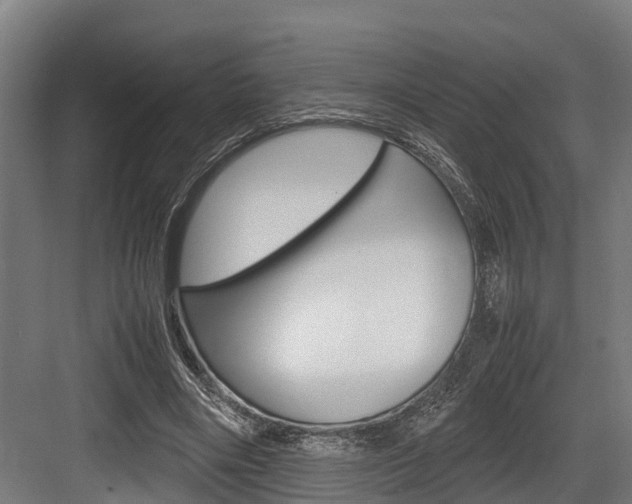 X0000083620490200702120753