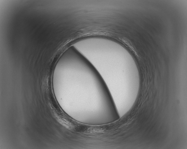 X0000083620491200702120753