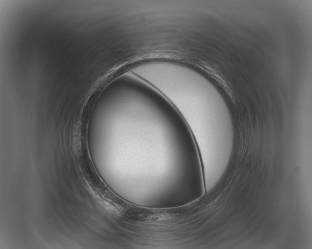 X0000083620492200702120753