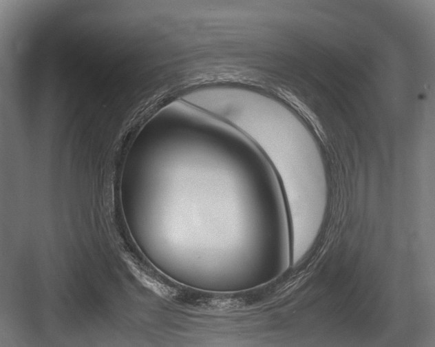 X0000083620493200702120753