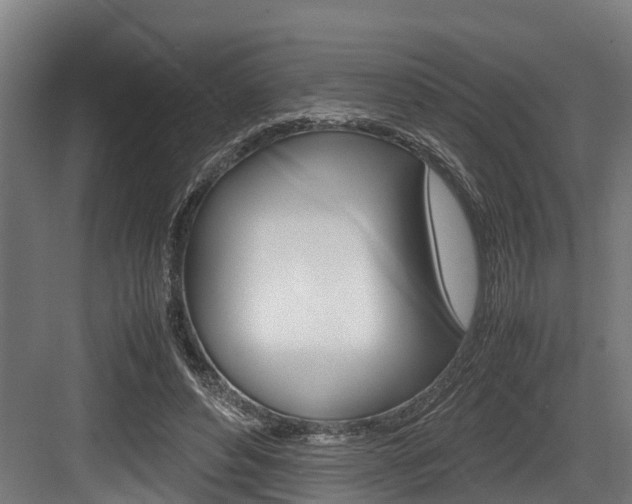 X0000083620496200702120753