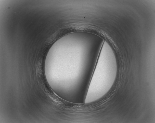 X0000083620497200702120753