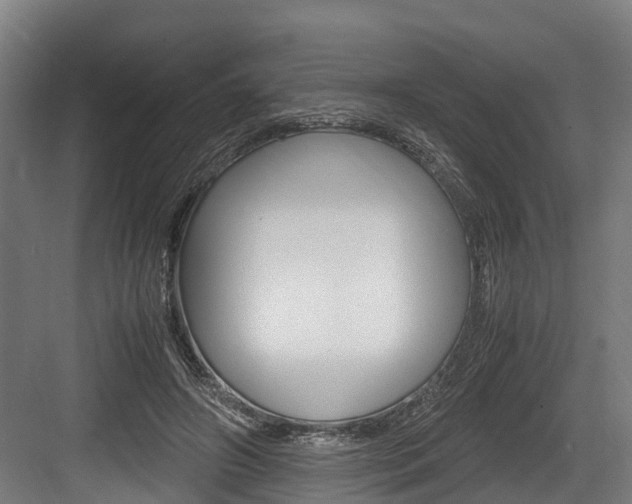 X0000083620498200702120753