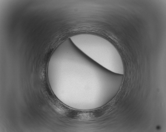 X0000083620499200702120753