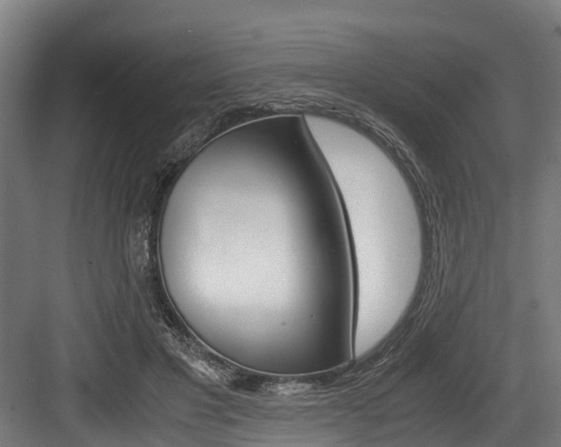 X0000083620501200702120753