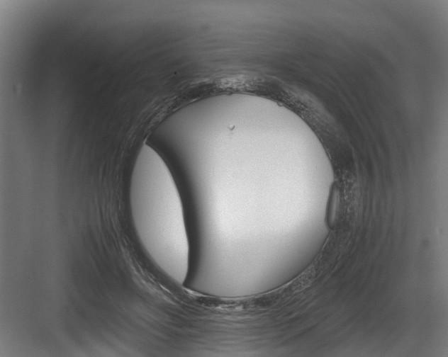 X0000083620502200702120753