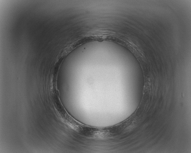 X0000083620504200702120753