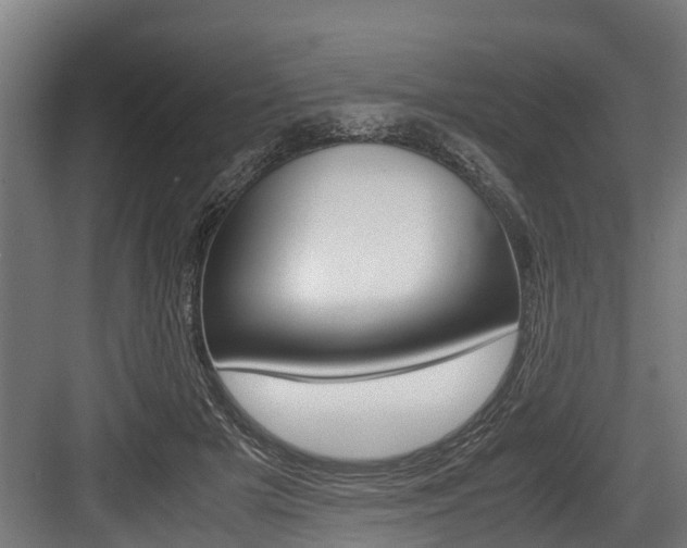 X0000083620505200702120753