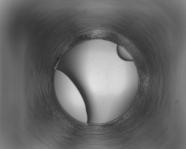 X0000083620506200702120753