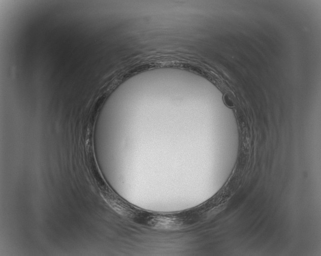 X0000083620507200702120753