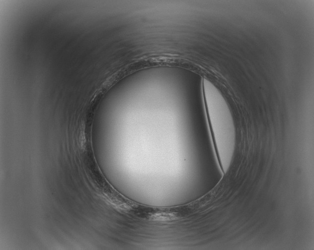 X0000083620508200702120753