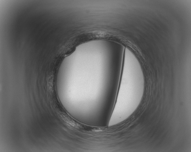 X0000083620509200702120753