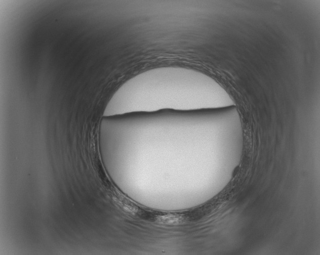 X0000083620511200702120753