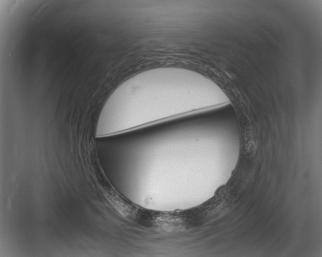 X0000083620515200702120753