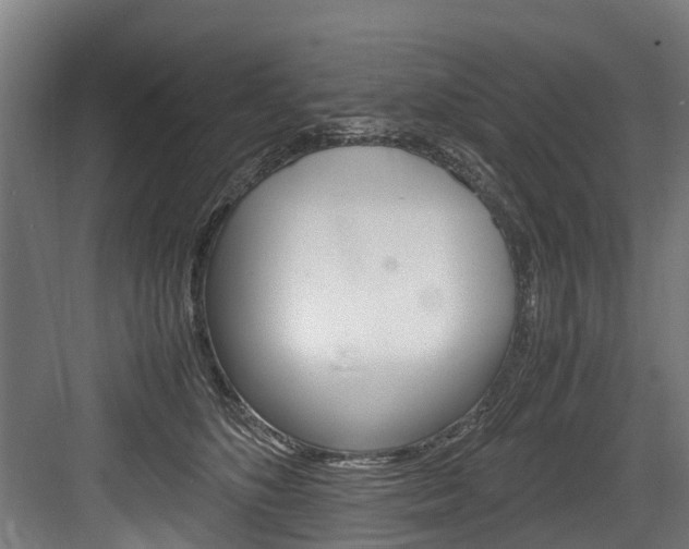 X0000083620516200702120753
