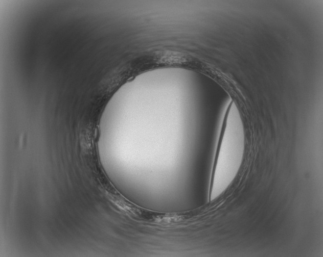 X0000083620517200702120753