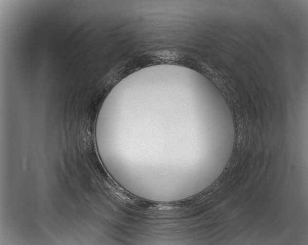 X0000083620518200702120753