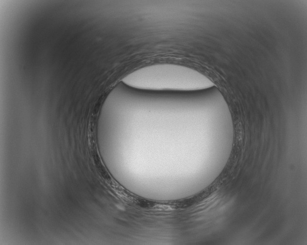 X0000083620519200702120753