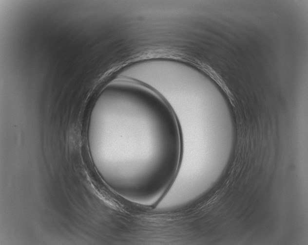 X0000083620530200702120752