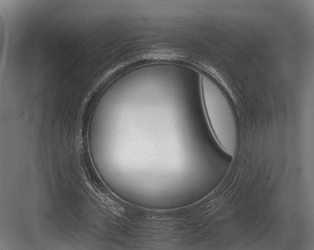 X0000083620531200702120752