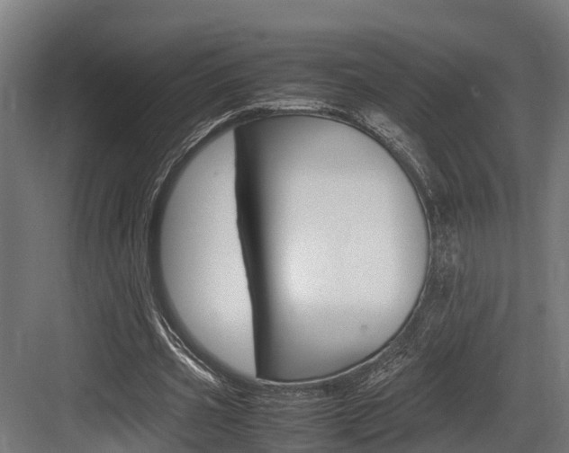 X0000083620533200702120752