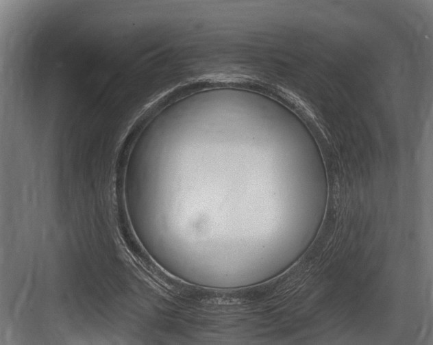 X0000083620535200702120752