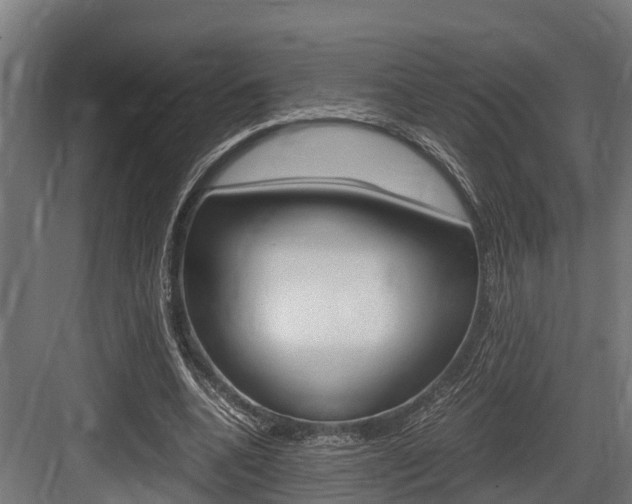 X0000083620536200702120752