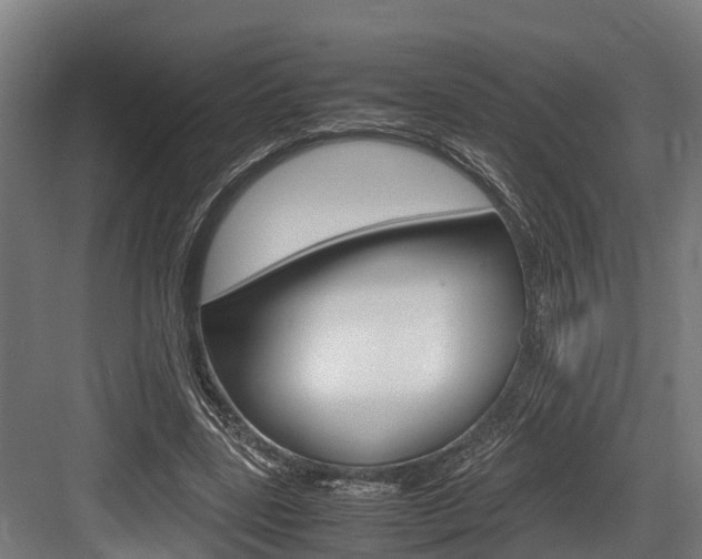 X0000083620539200702120752
