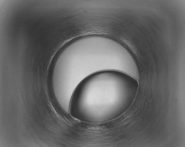 X0000083620540200702120752