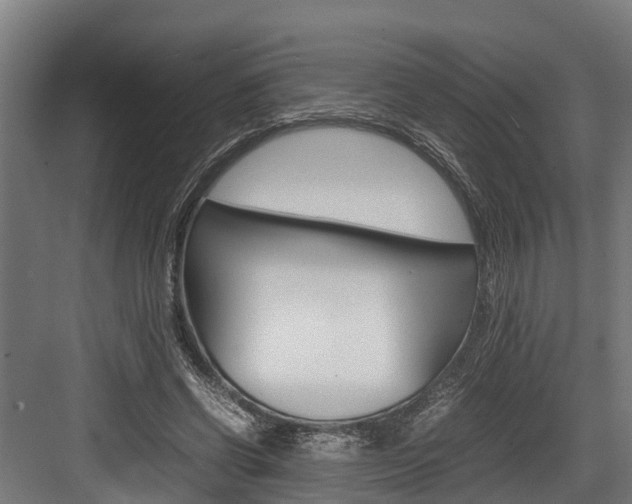 X0000083620542200702120752