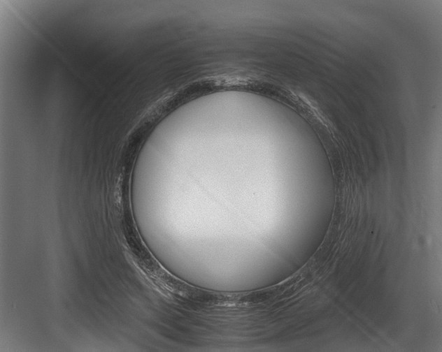 X0000083620543200702120752