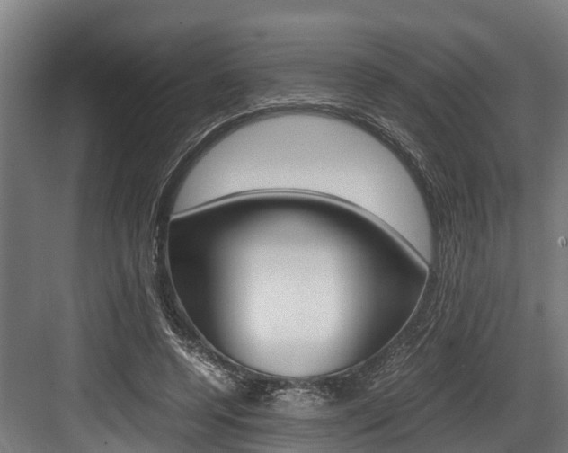 X0000083620544200702120752