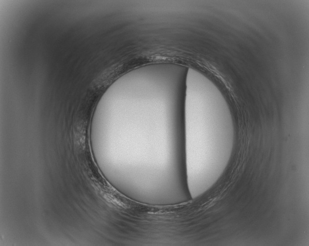 X0000083620545200702120752