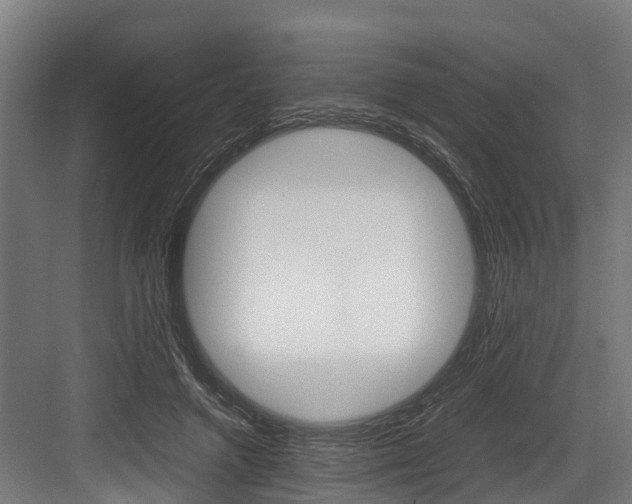 X0000083620546200702120752