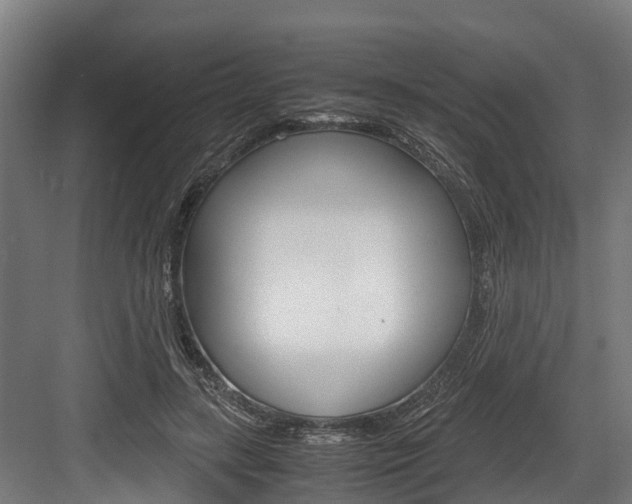 X0000083620547200702120752