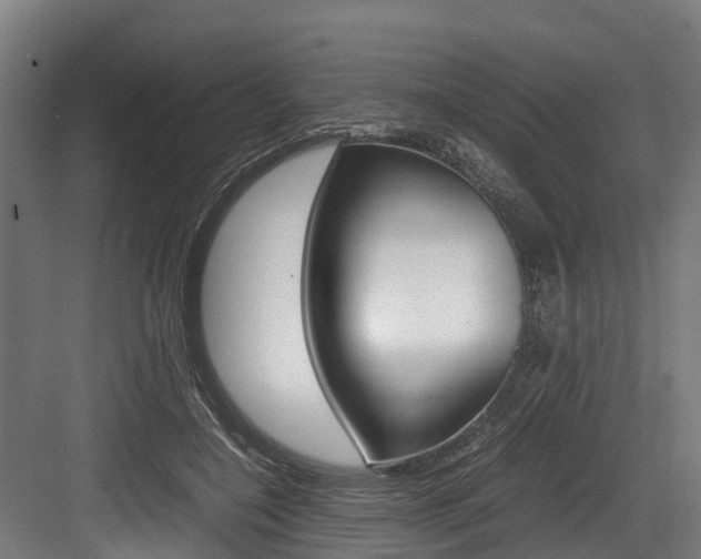 X0000083620548200702120752