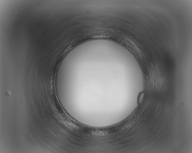 X0000083620549200702120752