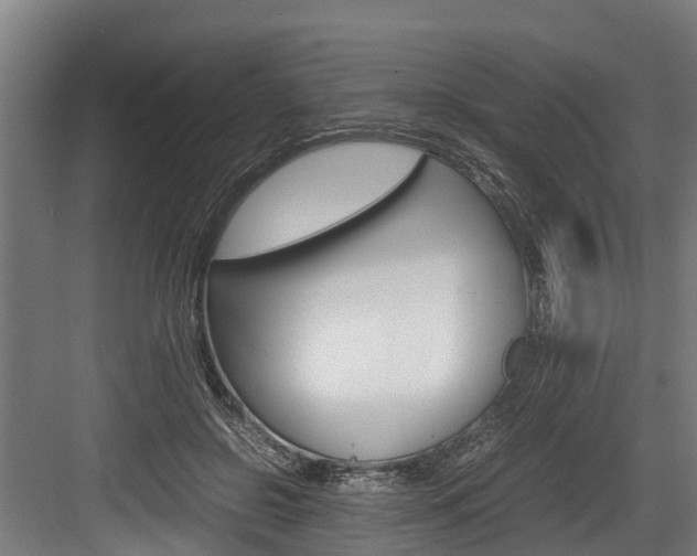 X0000083620550200702120752