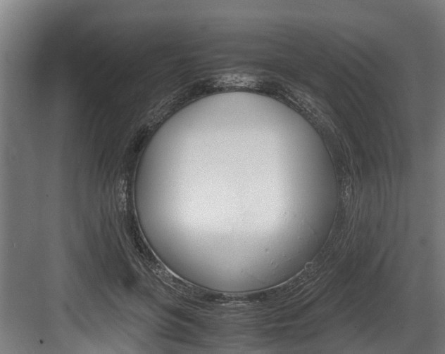 X0000083620551200702120752