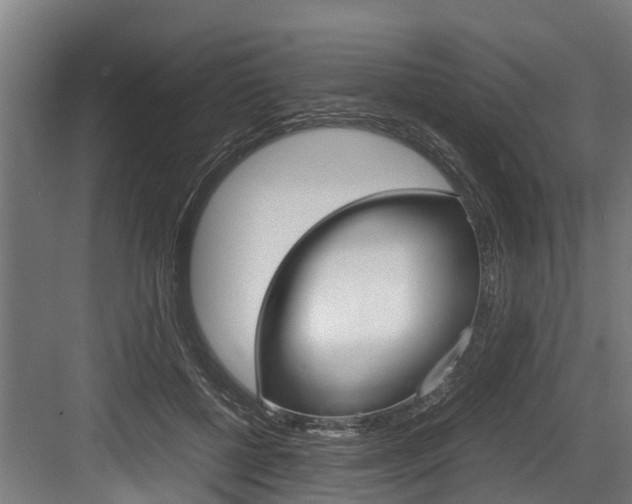 X0000083620552200702120752