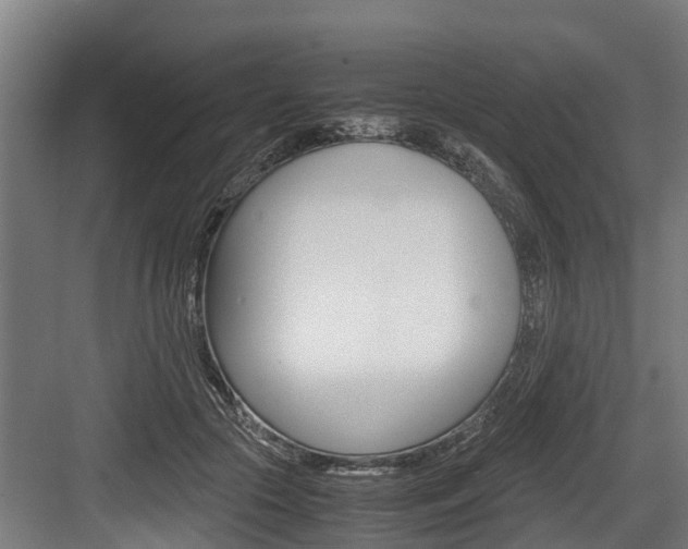 X0000083620553200702120752