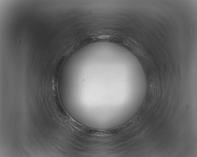 X0000083620555200702120752