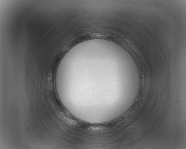 X0000083620557200702120752