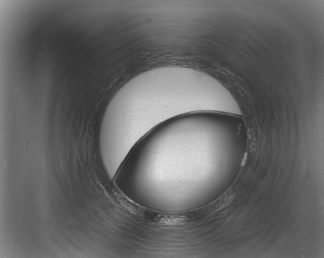 X0000083620560200702120752