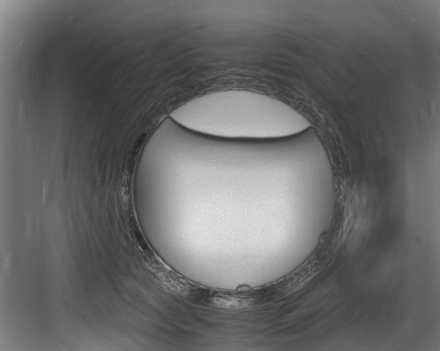X0000083620561200702120752