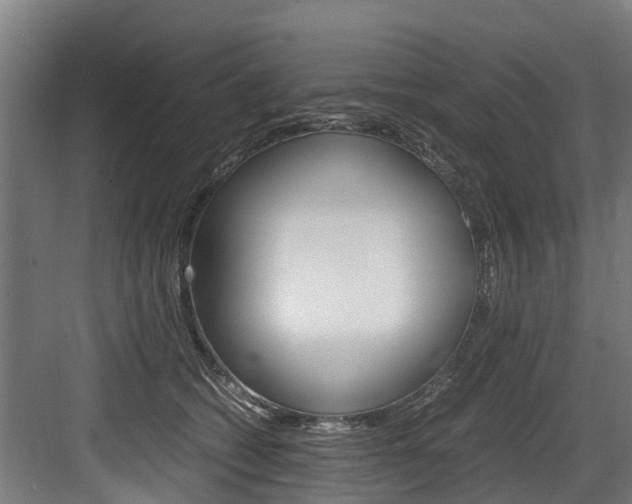 X0000083620562200702120752