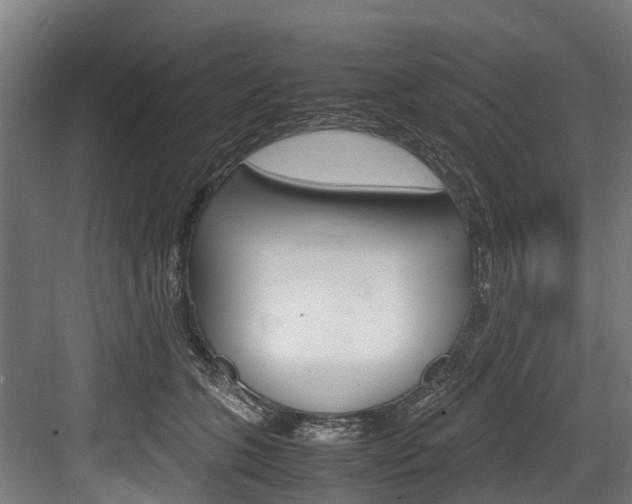 X0000083620563200702120752